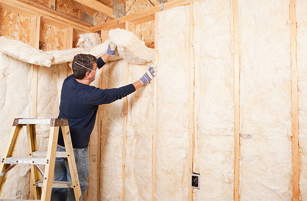 Best Wall Insulation Installation  in USA